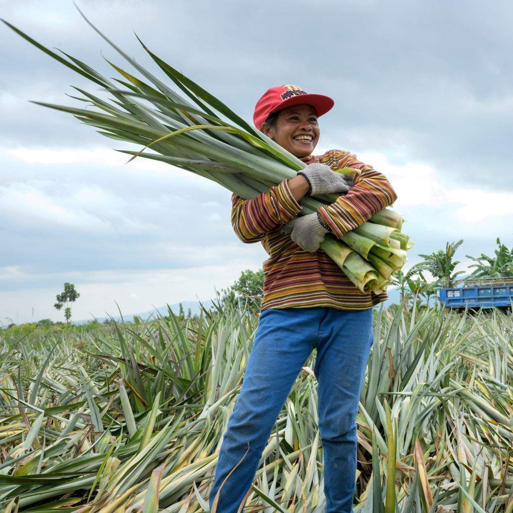 Piñatex is made from a byproduct of the fruit industry, creating an additional revenue stream for local farming communities in the Philipines.